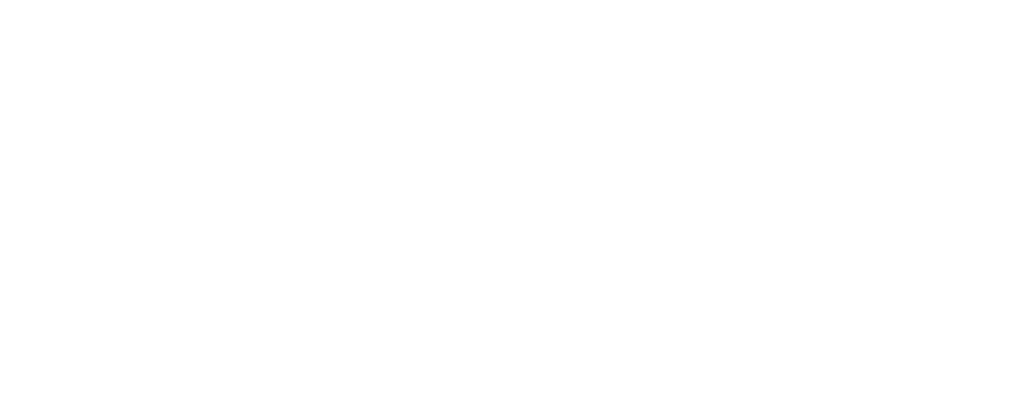 Noesis